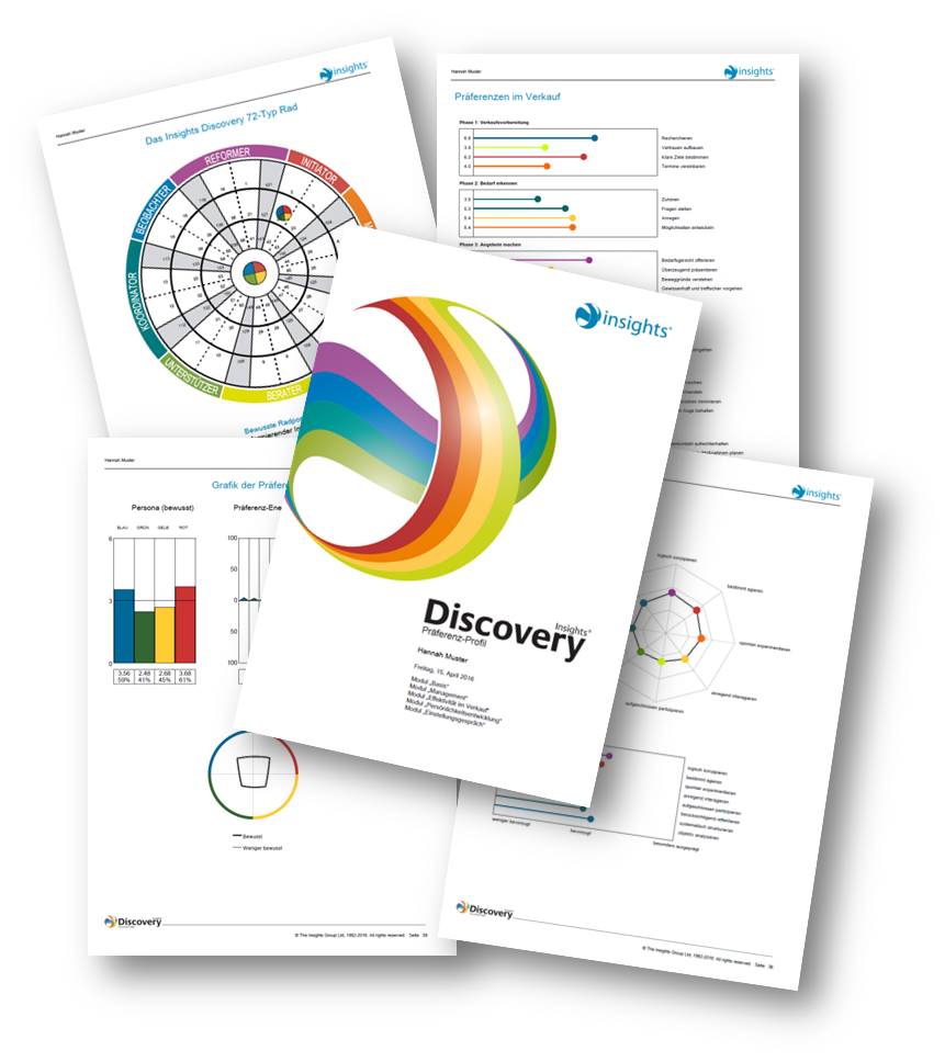 Insights Discovery Profil