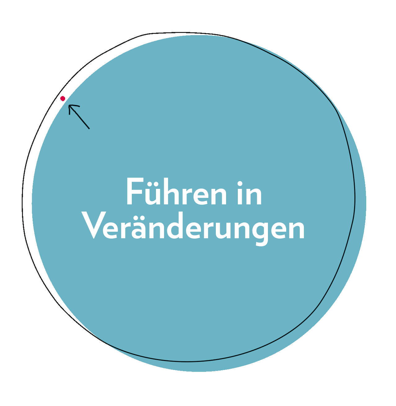 Claudia Horner & Partners – Führen in Veränderungen